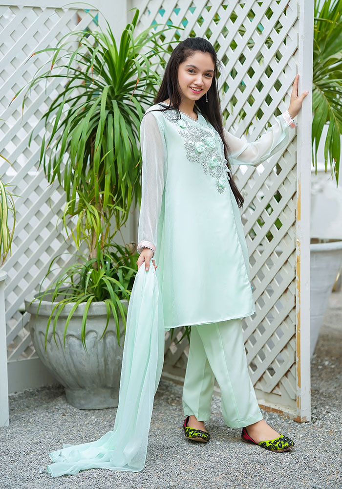 Chiffon Hand Work 3 Pc Suit - Wear Ochre