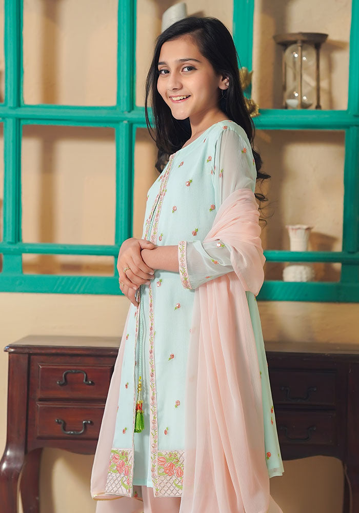 Chiffon Embroidered 3 Pc Suit - Wear Ochre