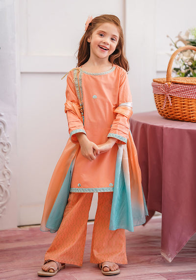 Cotton Embroidered 3 Pc Suit
