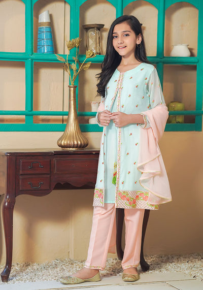 Chiffon Embroidered 3 Pc Suit