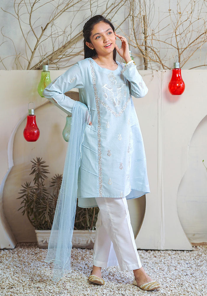 Cotton Embroidered 3 Pc Suit - Wear Ochre