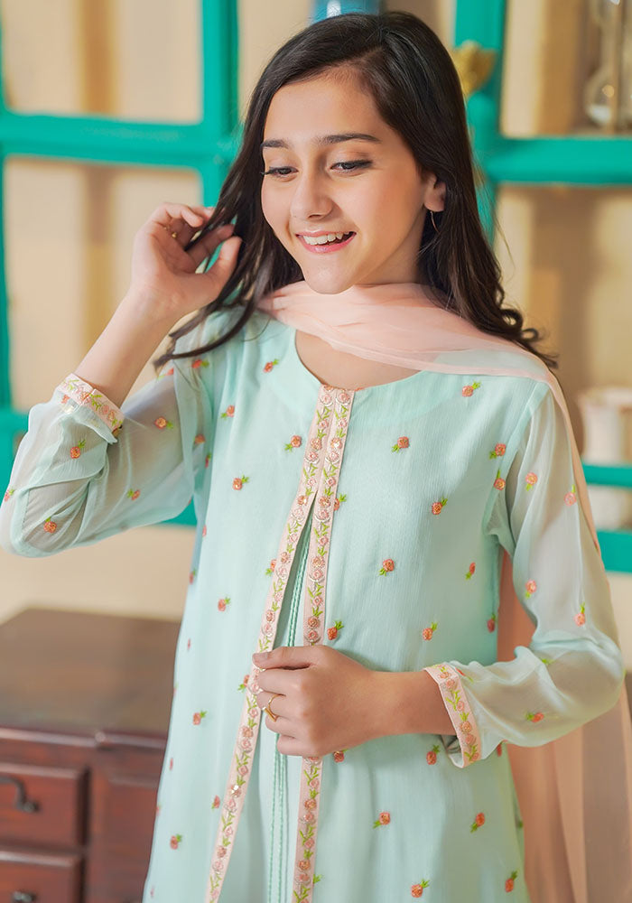 Chiffon Embroidered 3 Pc Suit - Wear Ochre