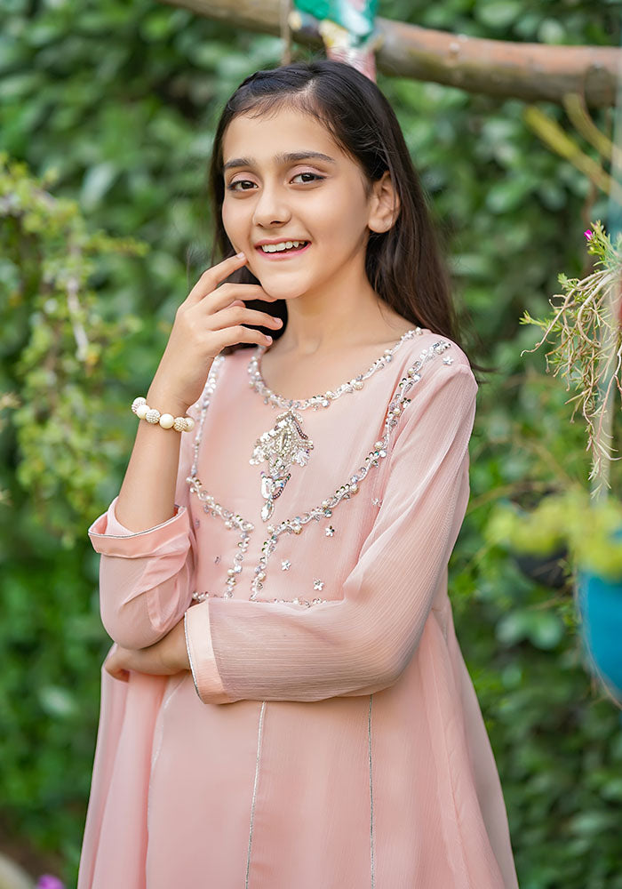 Chiffon Hand Work 3 Pc Suit - Wear Ochre