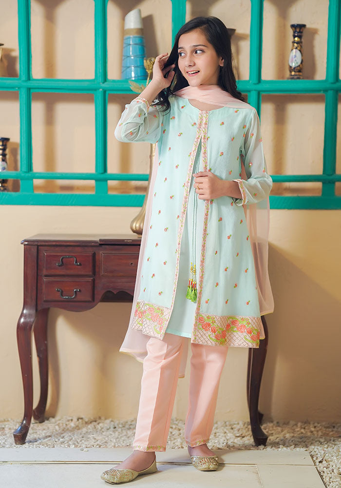 Chiffon Embroidered 3 Pc Suit - Wear Ochre