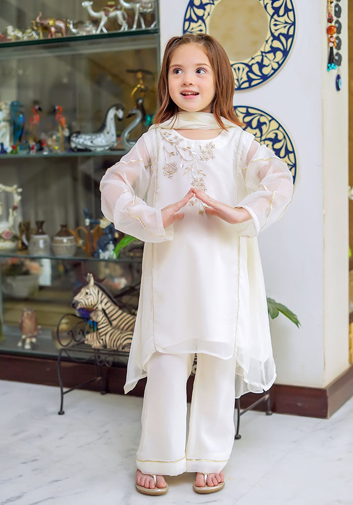 Chiffon Hand Work 3 Pc Suit - Wear Ochre
