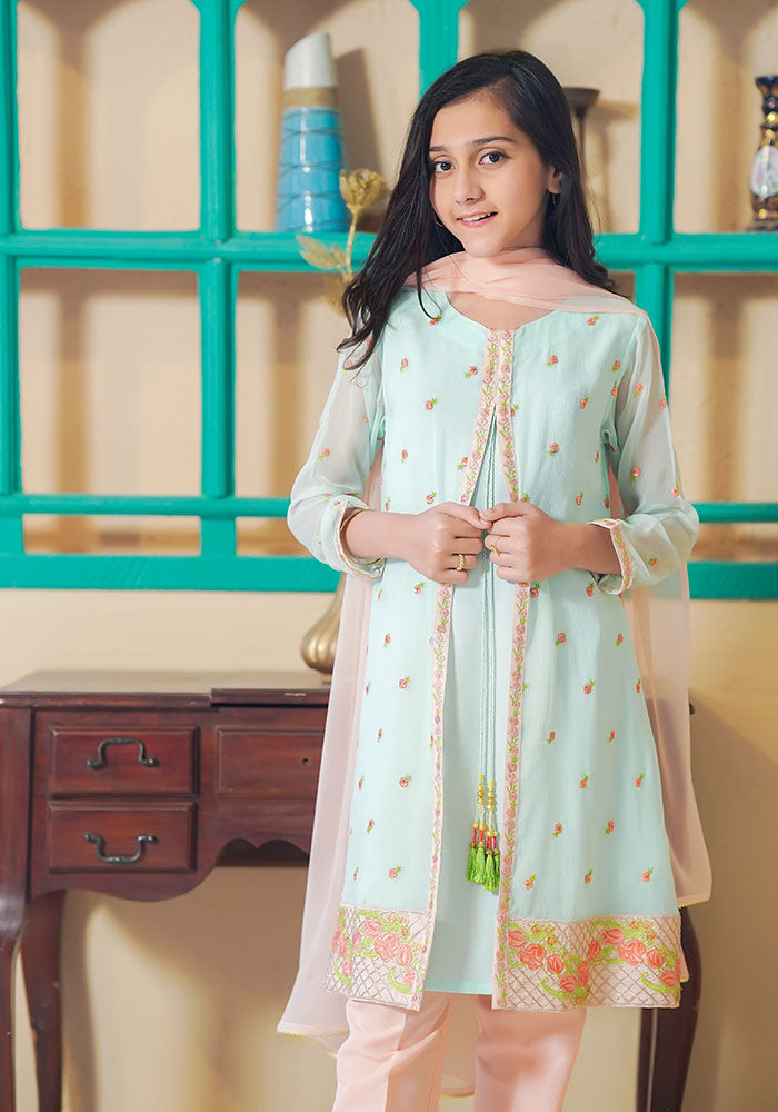 Chiffon Embroidered 3 Pc Suit - Wear Ochre