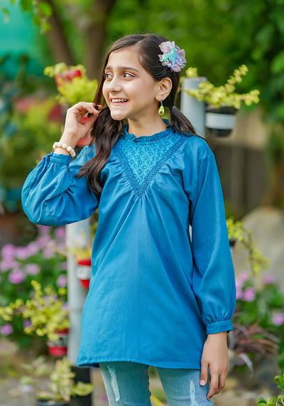 Cotton Embroidered Top