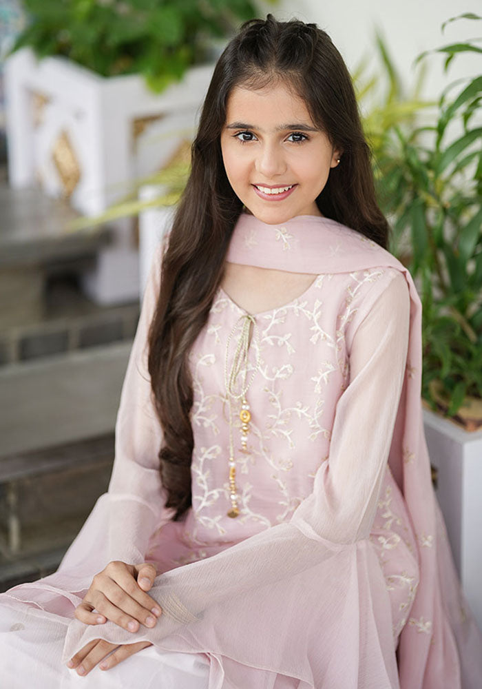 Chiffon Embroidered 3 Pc Suit - Wear Ochre