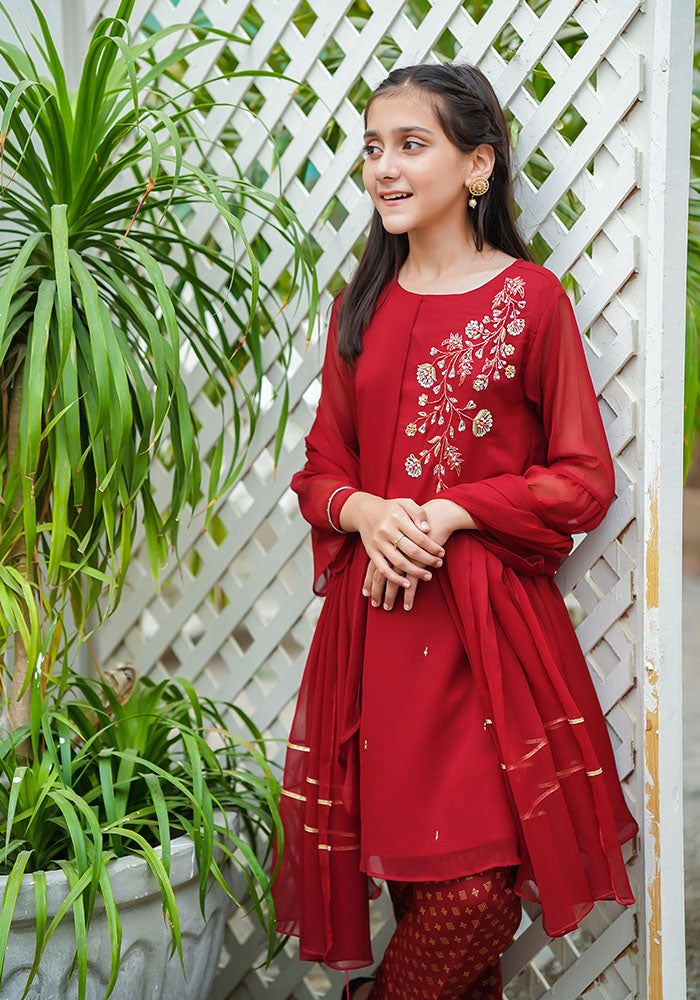 Chiffon Hand Work 3 Pc Suit - Wear Ochre