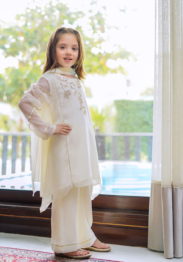 Chiffon Hand Work 3 Pc Suit - Wear Ochre