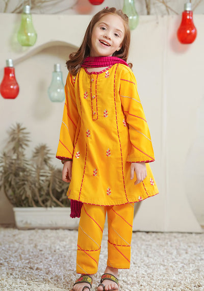 Cotton Embroidered 3 Pc Suit
