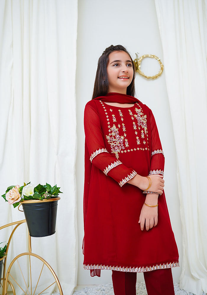 Chiffon Hand Work 3 Pc Suit - Wear Ochre