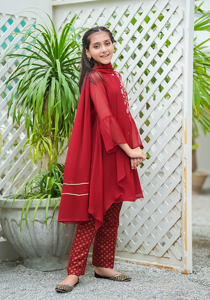 Chiffon Hand Work 3 Pc Suit - Wear Ochre
