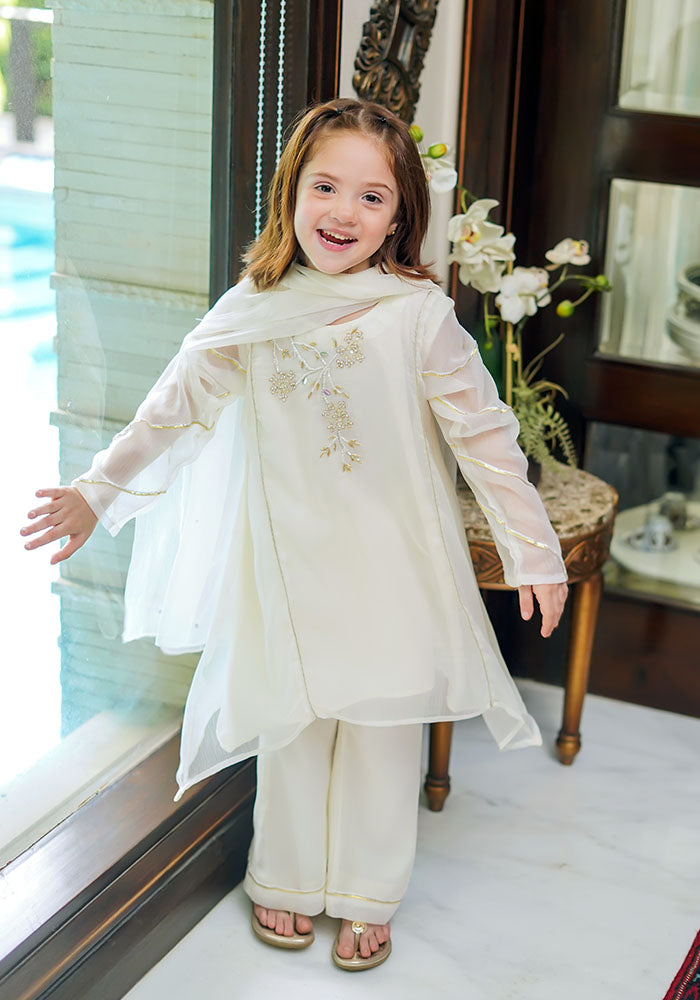 Chiffon Hand Work 3 Pc Suit - Wear Ochre