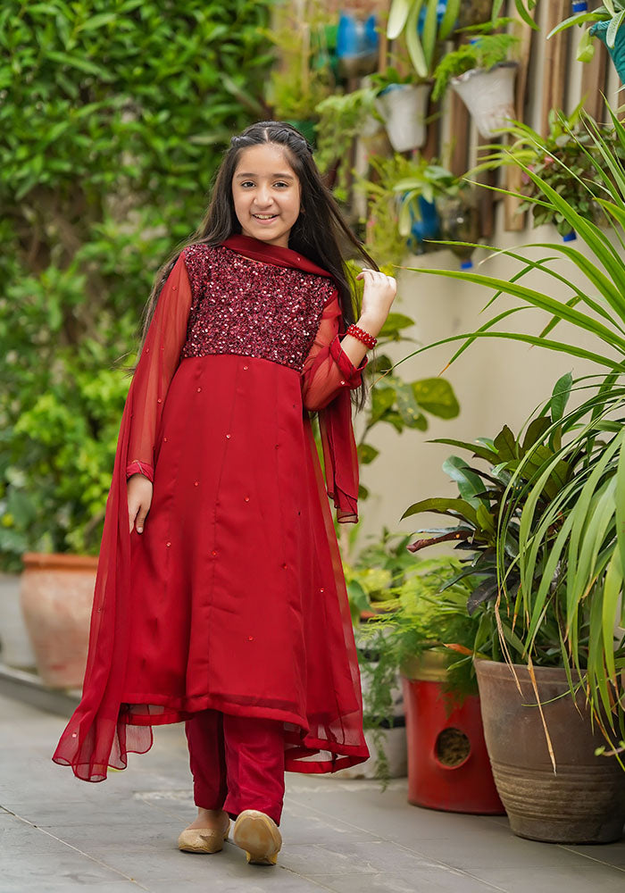 Chiffon Embroidered 3 Pc Suit - Wear Ochre