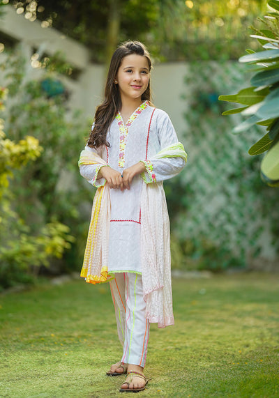 Chikan Kari Embroidered 3 Pc Suit