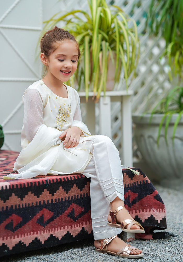 Chiffon Hand Work 3 Pc Suit - Wear Ochre