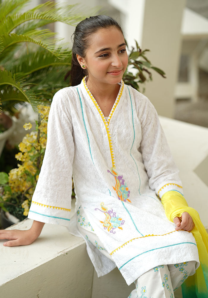 Chikankari Embroidered 3 Pc Suit - Wear Ochre