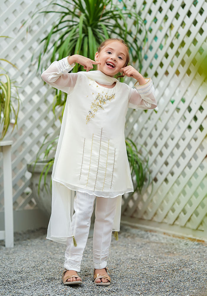 Chiffon Hand Work 3 Pc Suit - Wear Ochre