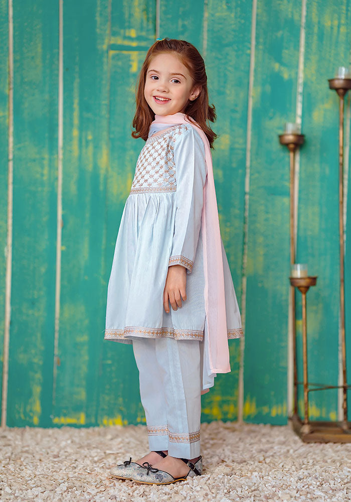 Cotton Embroidered 3 Pc Suit - Wear Ochre
