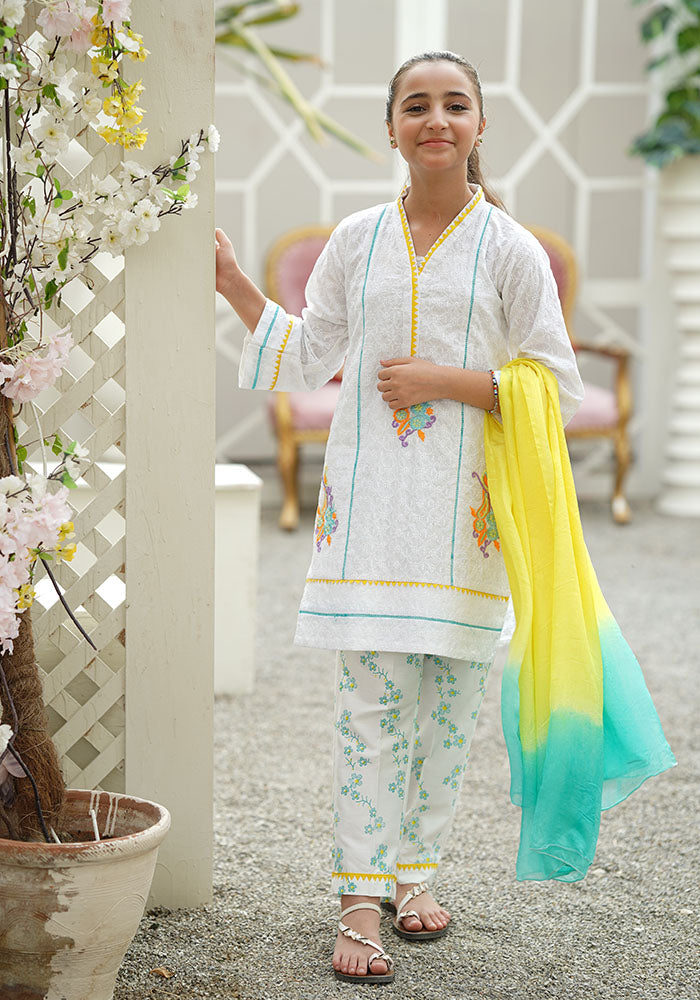Chikankari Embroidered 3 Pc Suit - Wear Ochre