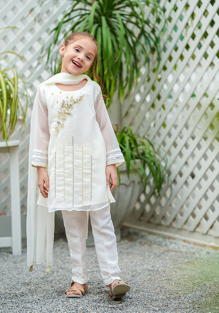 Chiffon Hand Work 3 Pc Suit - Wear Ochre