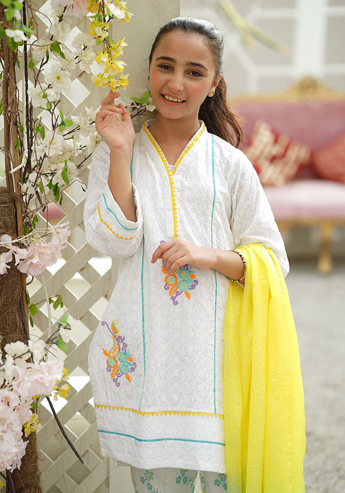 Chikankari Embroidered 3 Pc Suit - Wear Ochre