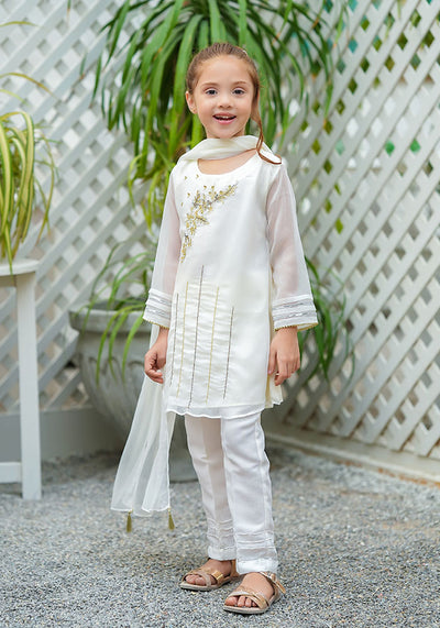 Chiffon Hand Work 3 Pc Suit