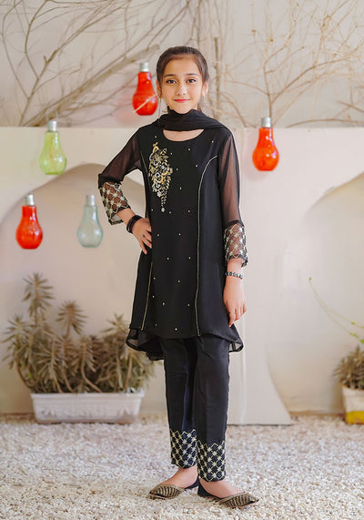 Chiffon Hand Work 3 Pc Suit