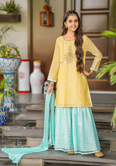 Paper Cotton Hand Work 3 Pc Suit