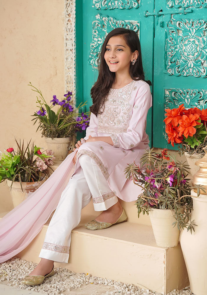 Chambray Cotton Embroidered 3 Pc Suit - Wear Ochre