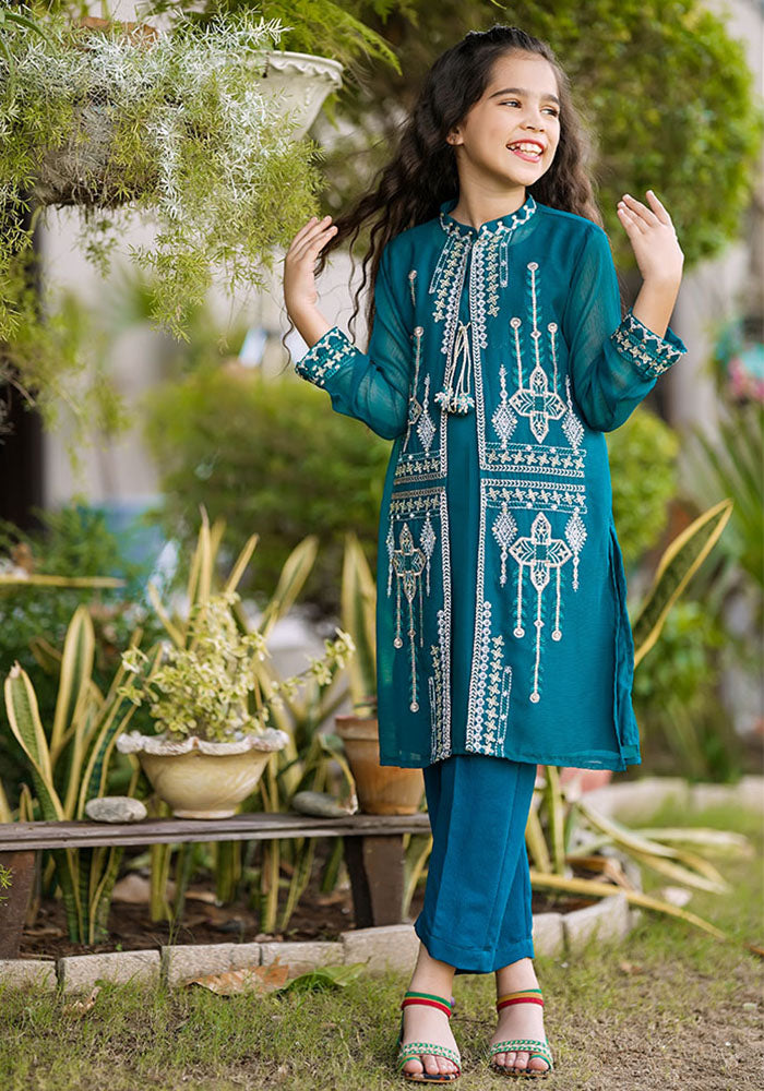 Chiffon Embroidered 2 Pc Suit - Wear Ochre