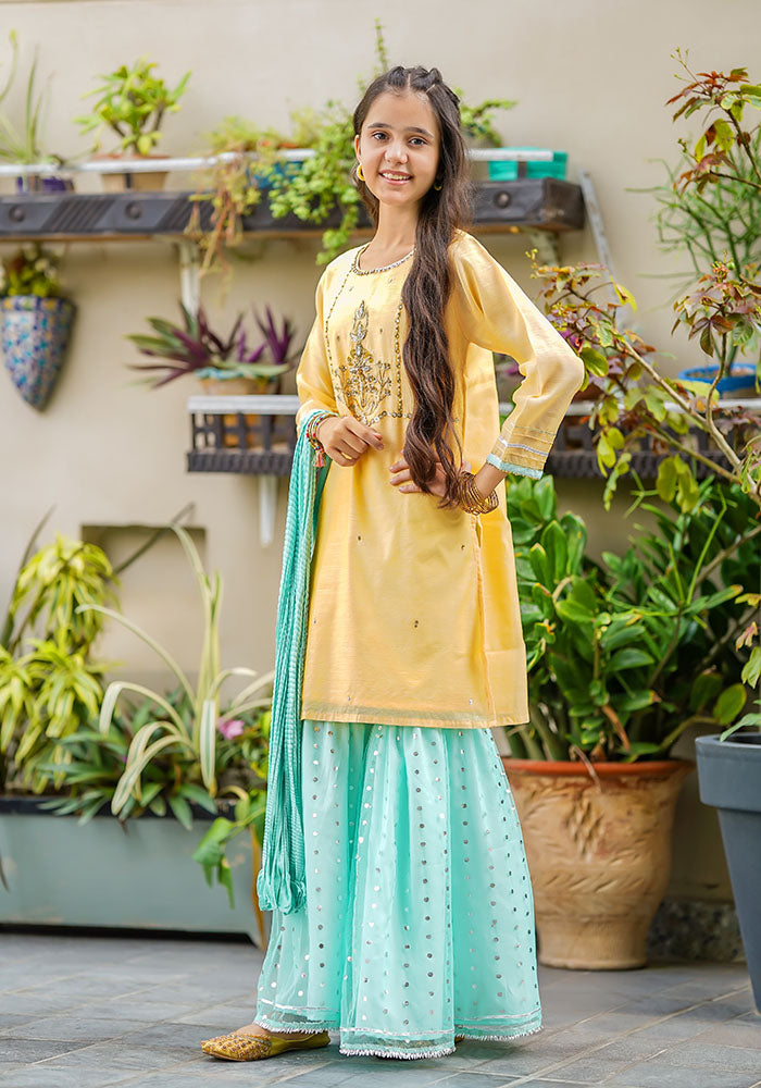 Paper Cotton Hand Work 3 Pc Suit - Wear Ochre