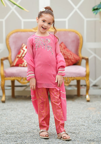 Chiffon Hand Work 3 Pc Suit