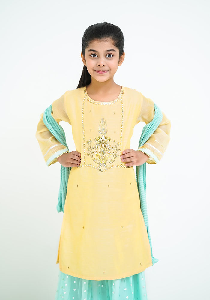 Paper Cotton Hand Work 3 Pc Suit - Wear Ochre