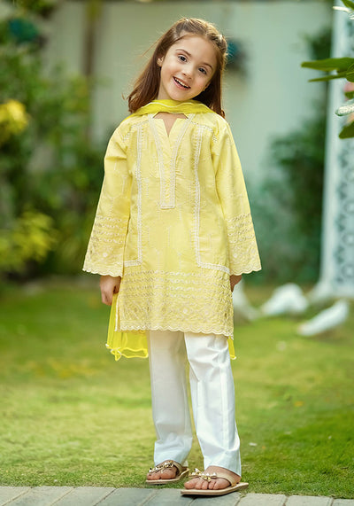 Cotton Embroidered 3 Pc Suit