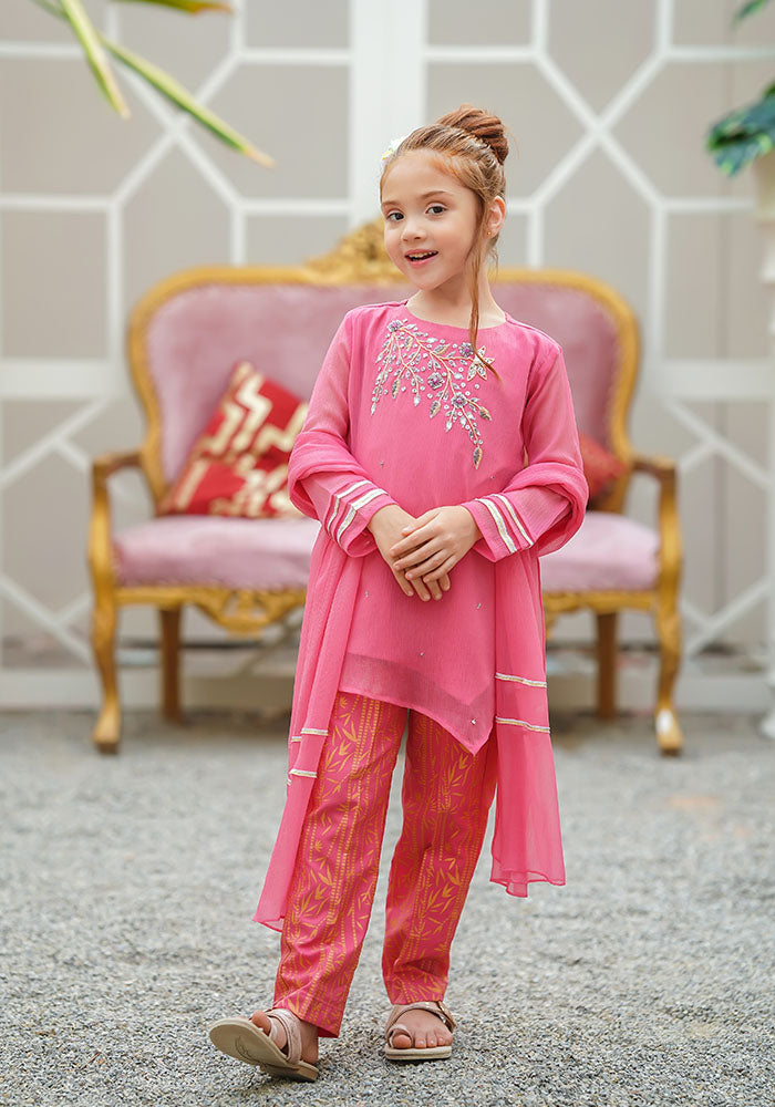 Chiffon Hand Work 3 Pc Suit - Wear Ochre