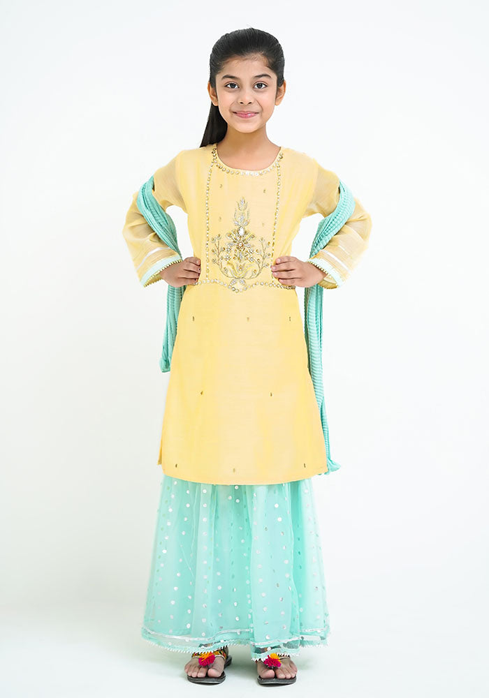 Paper Cotton Hand Work 3 Pc Suit - Wear Ochre