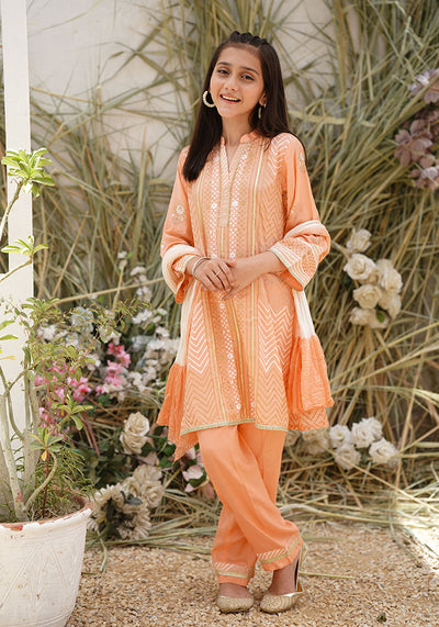 Cotton Silk Block Printed 3 Pc Suit