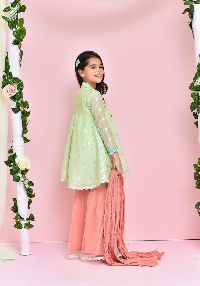 Paper Cotton Embroidered 3 Pc Suit - Wear Ochre