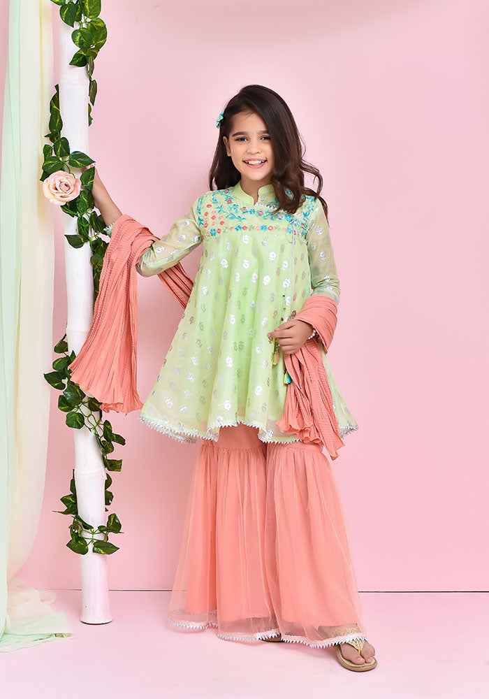 Paper Cotton Embroidered 3 Pc Suit - Wear Ochre