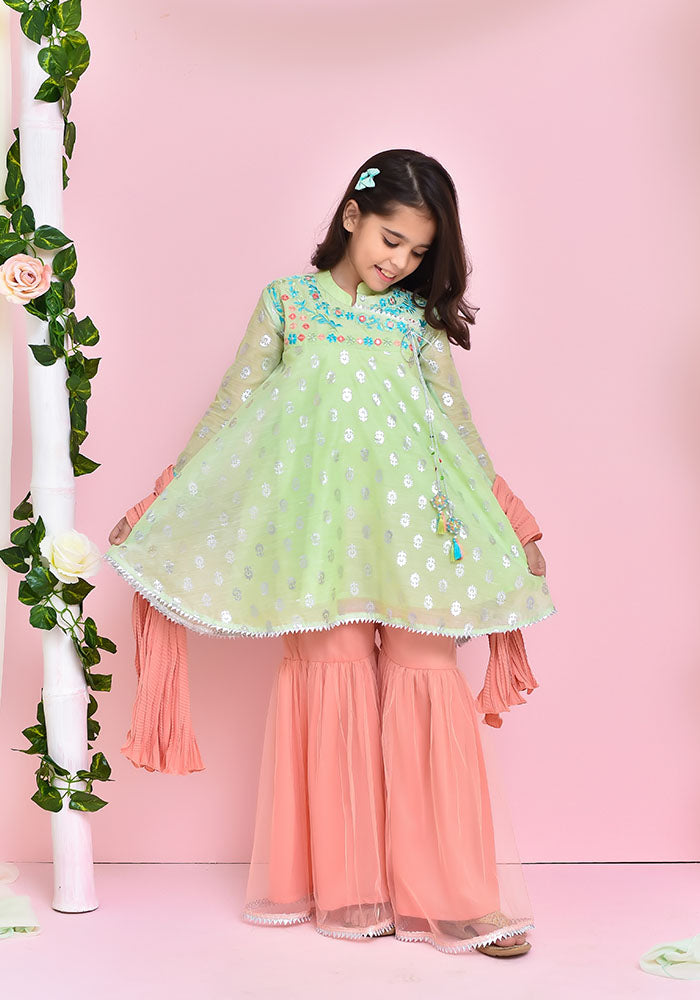 Paper Cotton Embroidered 3 Pc Suit - Wear Ochre