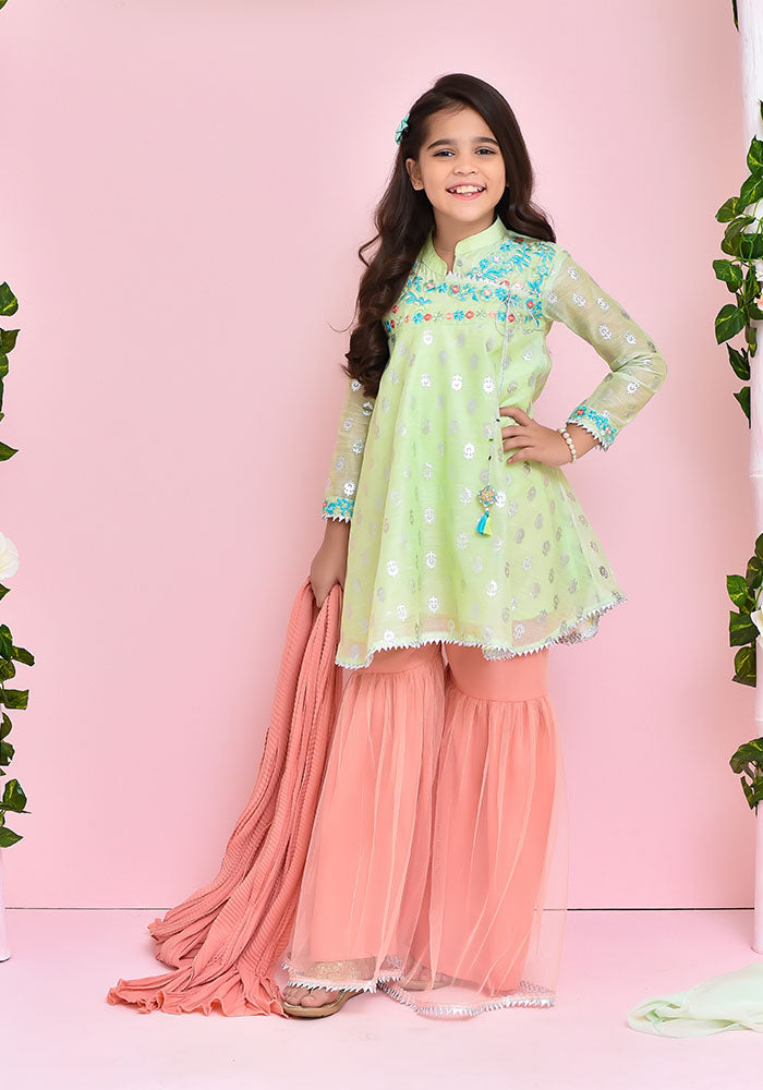 Paper Cotton Embroidered 3 Pc Suit - Wear Ochre