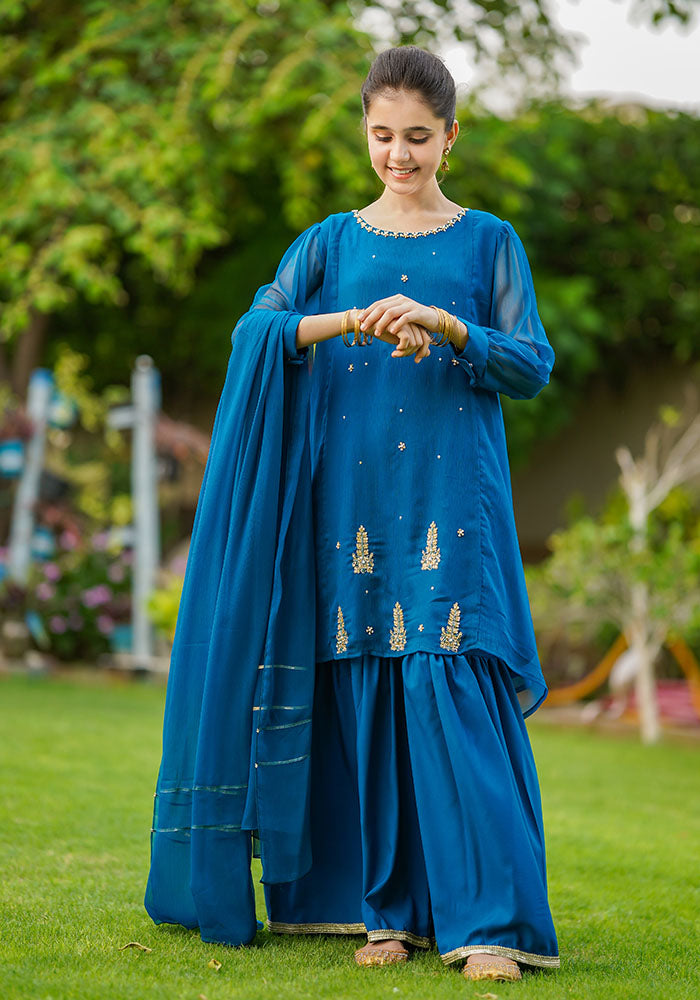 Chiffon Hand Work 3 Pc Suit - Wear Ochre