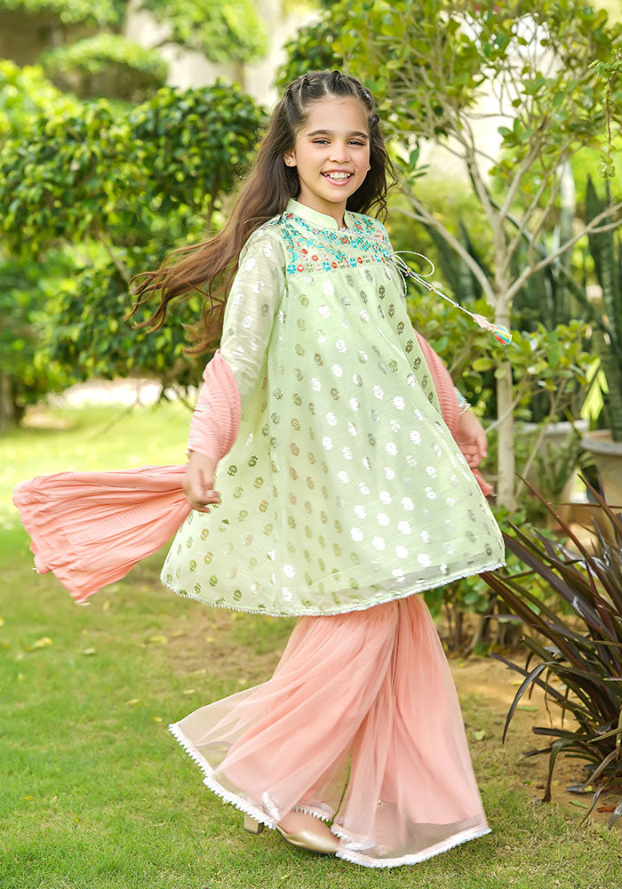 Paper Cotton Embroidered 3 Pc Suit - Wear Ochre