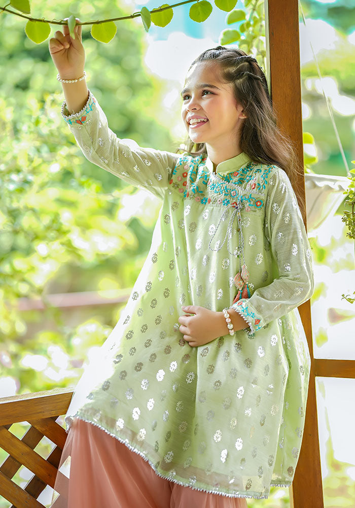 Paper Cotton Embroidered 3 Pc Suit - Wear Ochre