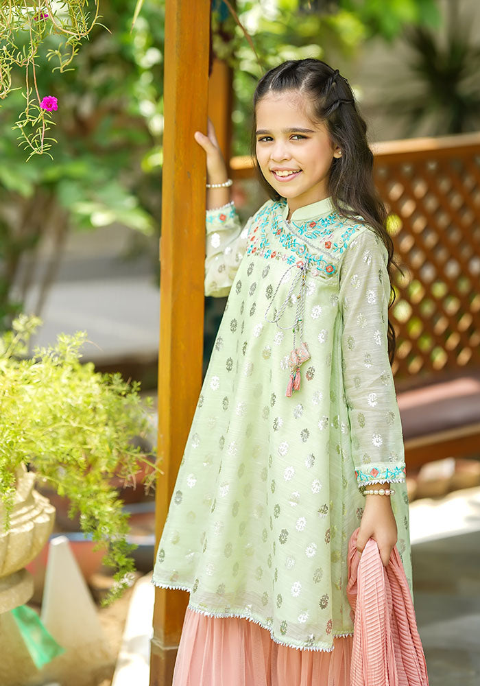 Paper Cotton Embroidered 3 Pc Suit - Wear Ochre
