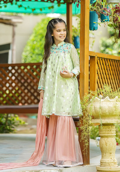 Paper Cotton Embroidered 3 Pc Suit