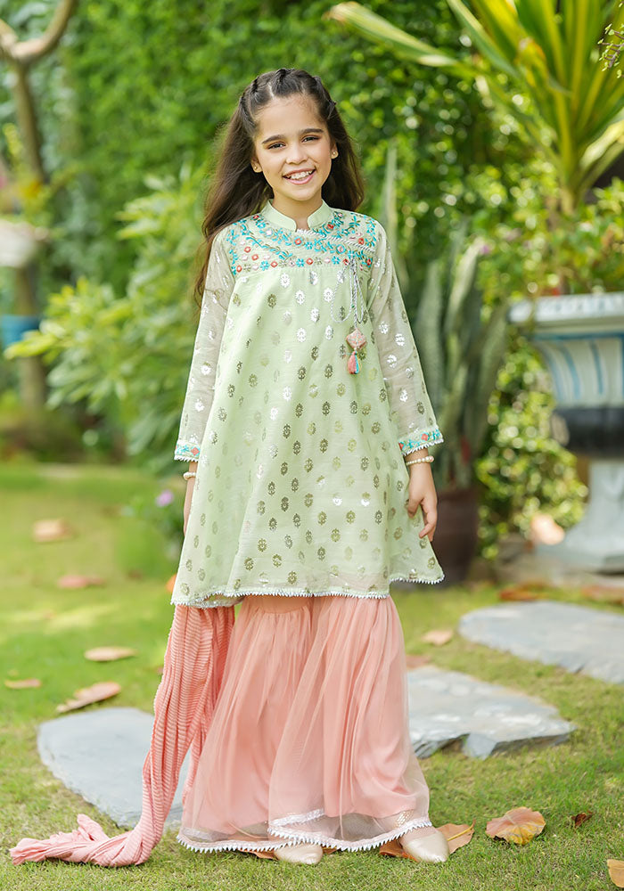Paper Cotton Embroidered 3 Pc Suit - Wear Ochre