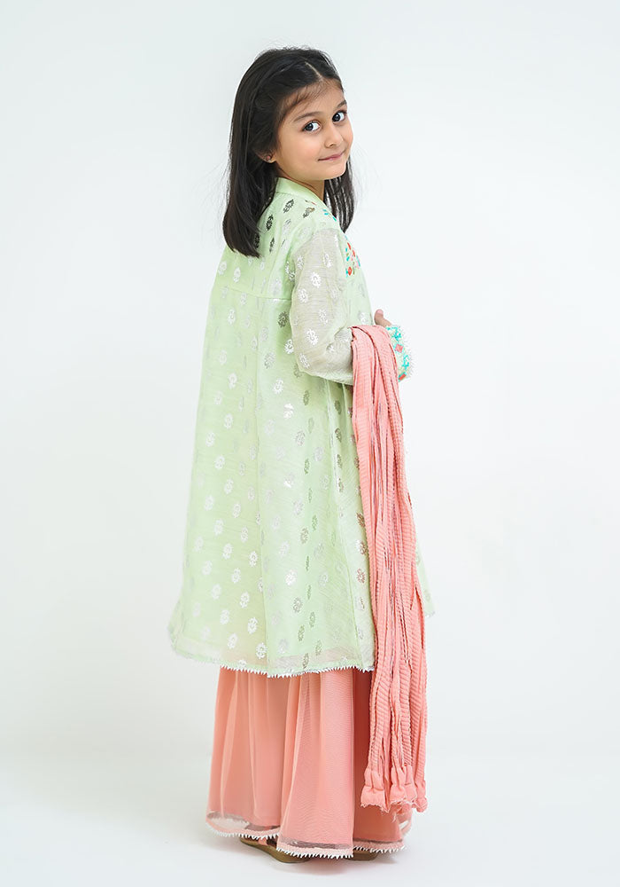 Paper Cotton Embroidered 3 Pc Suit - Wear Ochre